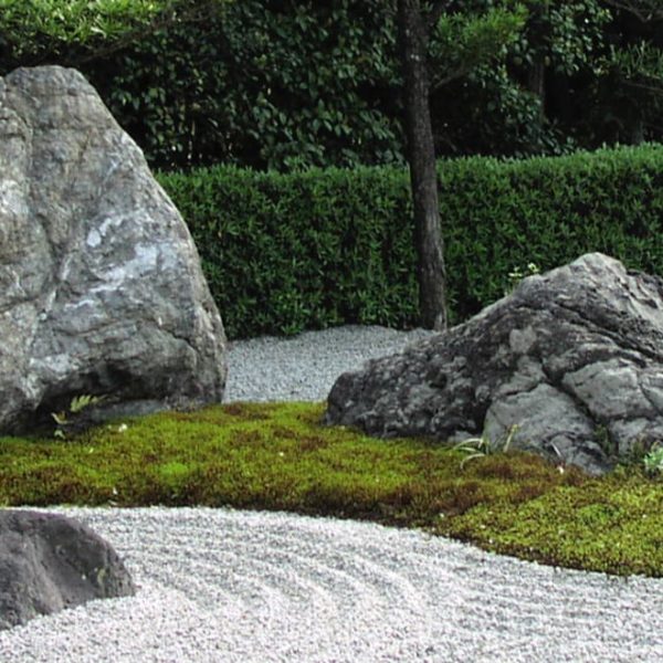 zen moss garden