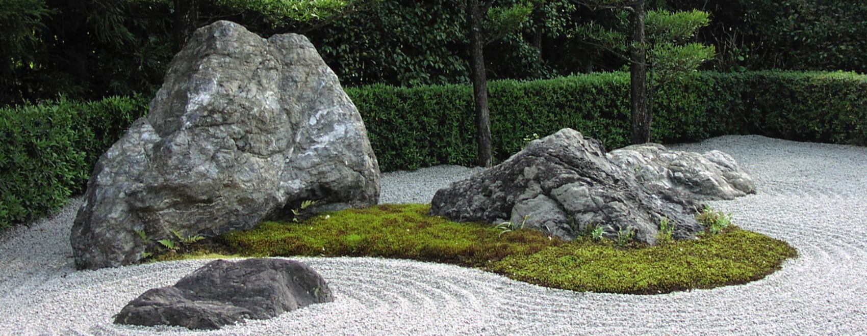 15 Great Moss Gardening Ideas & Easy Moss Garden Guide