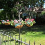 flowers on hanging planters