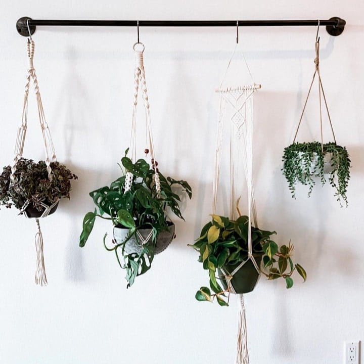 How to Make Hanging Wall Planters from Coffee Cups