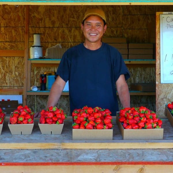 market gardening berries