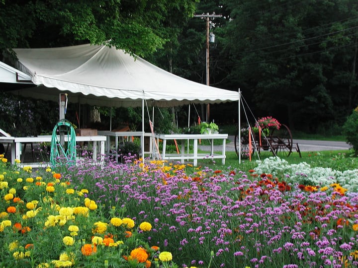 Market Gardening Easy Guide How to Get Started in 10 Steps