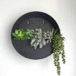 round wall planter