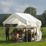 small market garden stand