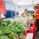 talking to farmers for research