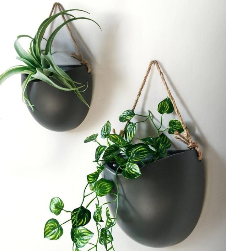 27 Best Wall Hanging Planters For Indoors Outdoors 2021 - Wall Mounted Hanging Baskets