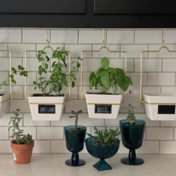 wall planters hanging