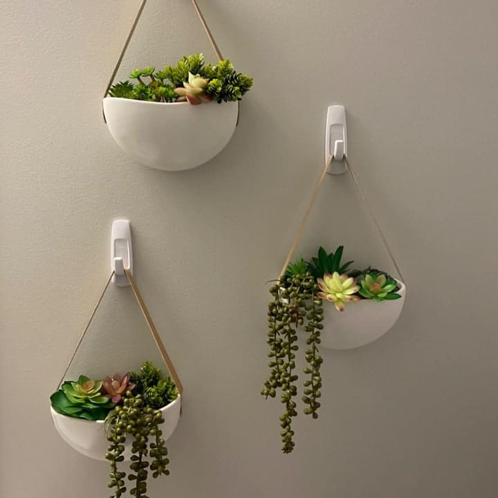 How to Make Hanging Wall Planters from Coffee Cups