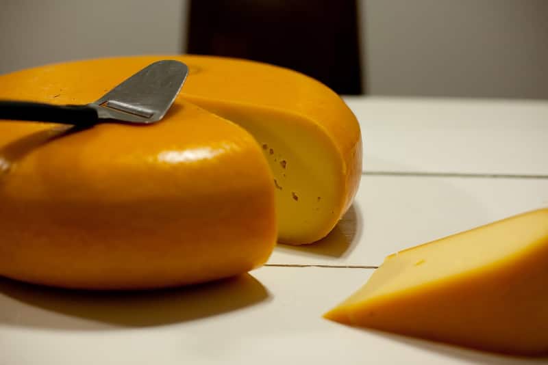 gouda semi hard cheese