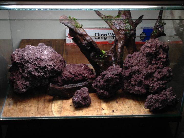 high tech aquascaping