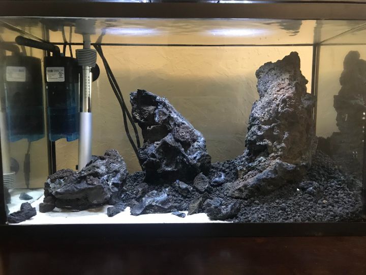 lava rock aquascaping