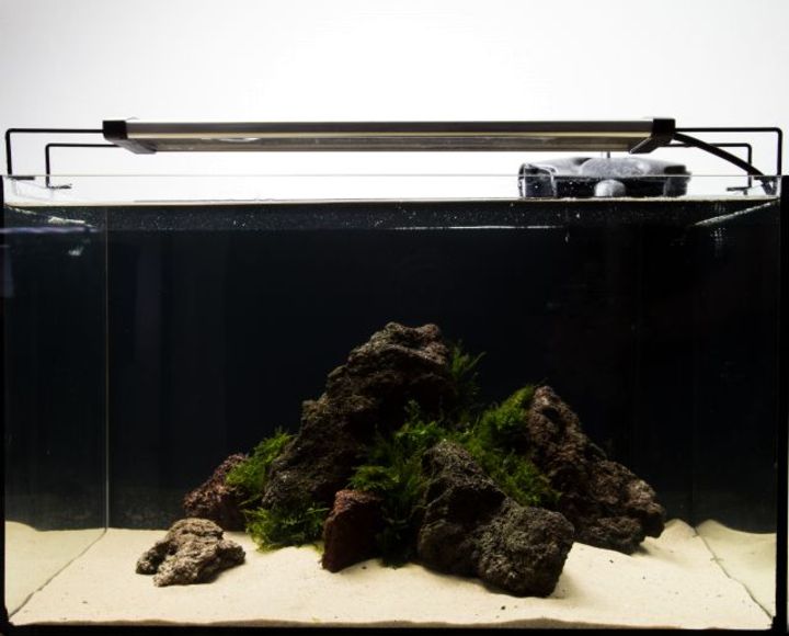 low budget aquascaping