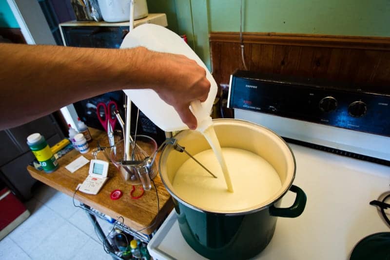 milk preparation