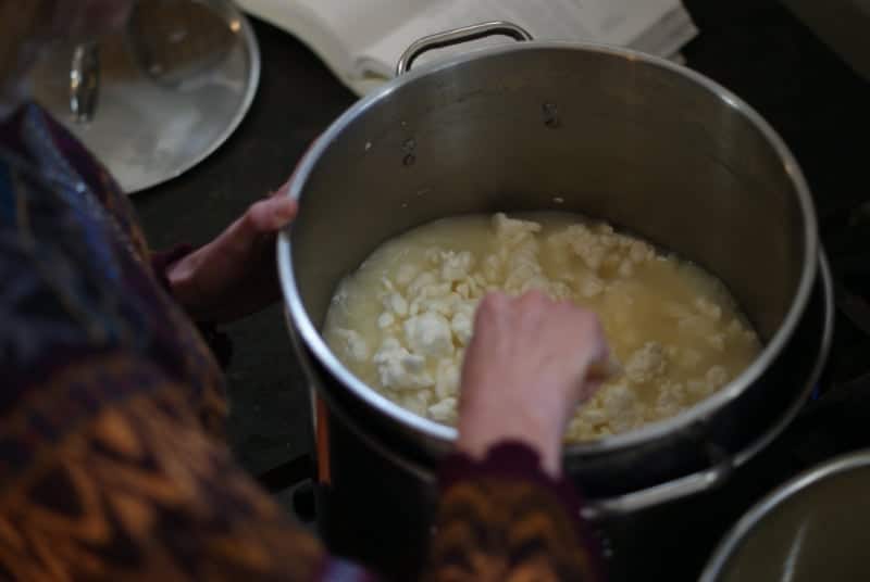 stirring the curd