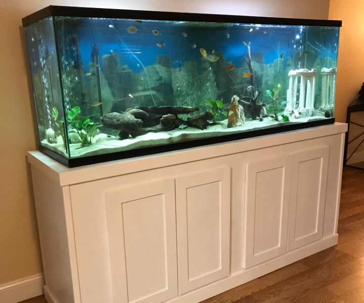 fish aquarium with stand